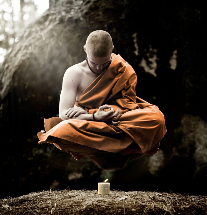 10003564_bohemian-buddha-mid-res.jpg