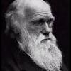 CharlesDarwin