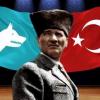 Türk Torunu