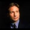 FoxMulder